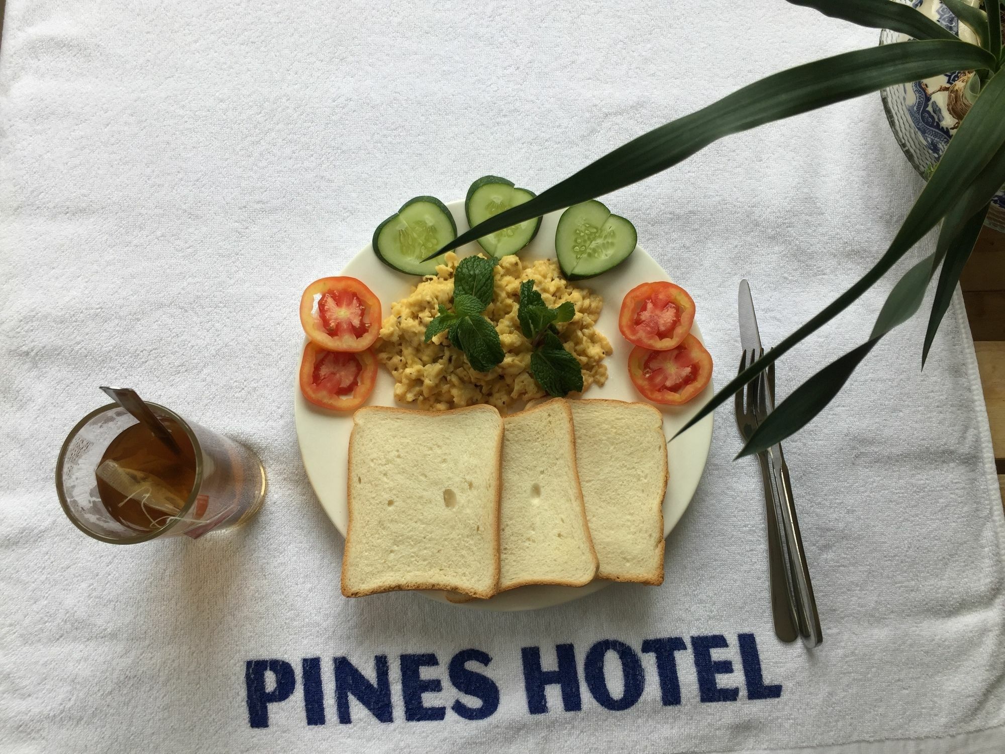 Pines Hotel Dalat Exterior foto